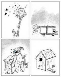 medio ambiente
